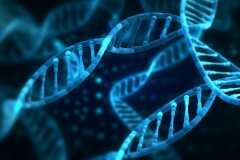 轉(zhuǎn)座子整合穩(wěn)定細(xì)胞株